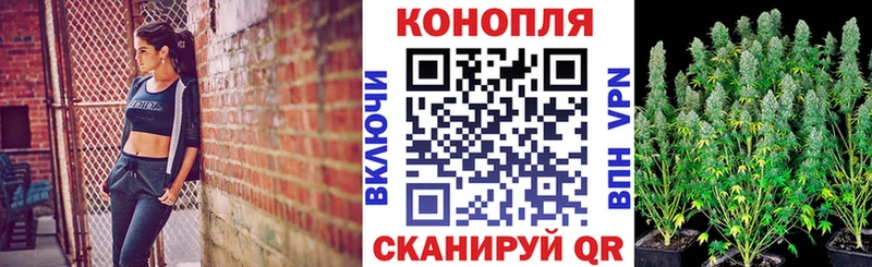 ОМГ ОМГ зеркало  Печоры  Каннабис Amnesia 
